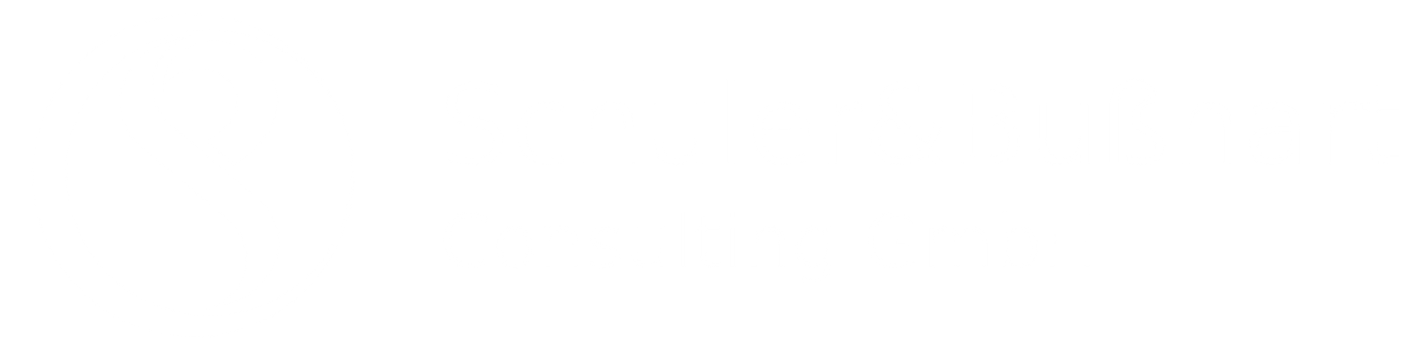 Schuler&Bußhart Consulting